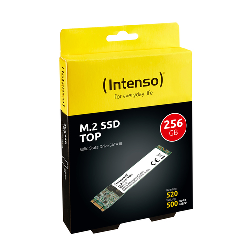 INTENSO SSD INTERNO 256GB M2 2280 SATA 520/500 MB/S